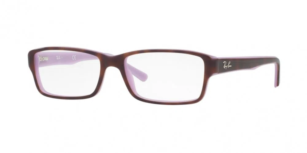 Ray-Ban 5169 Eyeglasses - view 2